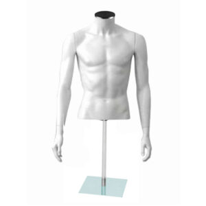 TORSO LITE EGO - MEN'S BUST BAZA DE STICLA LUNGA